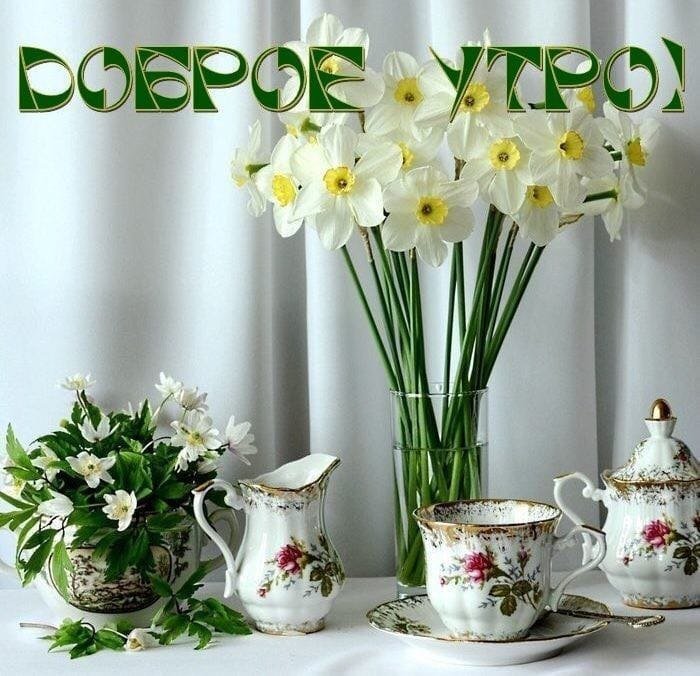   ,    . - 23  2019  06:56