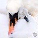 ���� L, ������� - ��������� 26 ������ 2019 � ������ ������ ��������