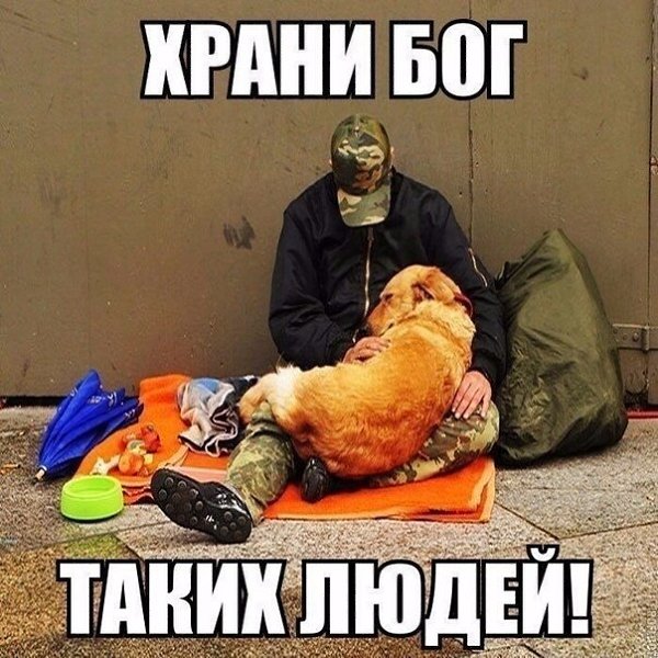☆   ☆ - 24  2019  19:06