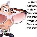���� ���������, ���������� - ��������� 8 ��� 2019 � ������ �����