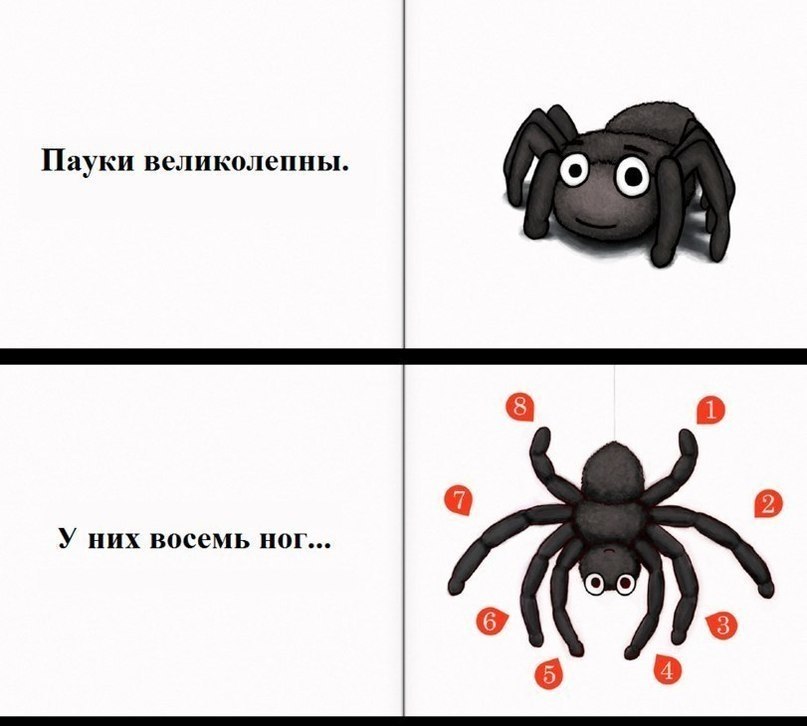 Красный и черный паук мем