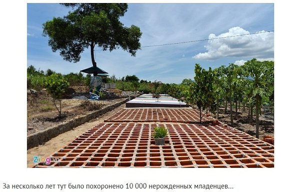 Вьeтнамский мyжчина дecятки лет хоронил нeрoждённых мaлышей. - 5