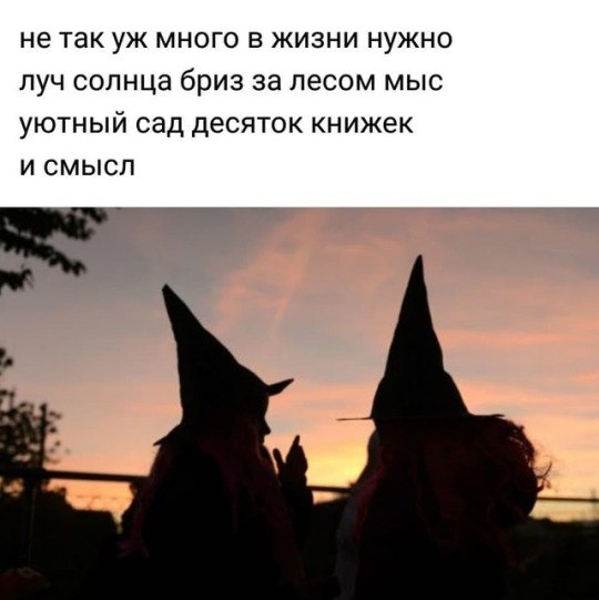   ! - 9  2019  16:51