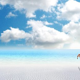 �����, ���������, 60 ���