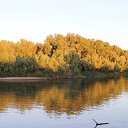 ���� ���������, ���������, 58 ��� - ��������� 31 ������� 2019