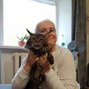 ���� &deg;&bull;��������&bull;&deg;, �����������, 60 ��� - ��������� 27 �������� 2019 � ������ ���� ����������