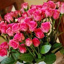���� Alekcandr, �����, 48 ��� - ��������� 11 ������� 2019