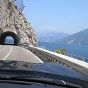  Sl Vivacobra, , 53  -  31  2019    