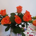 ���� ��������, Kouvola, 78 ��� - ��������� 25 �������� 2019 � ������ ������