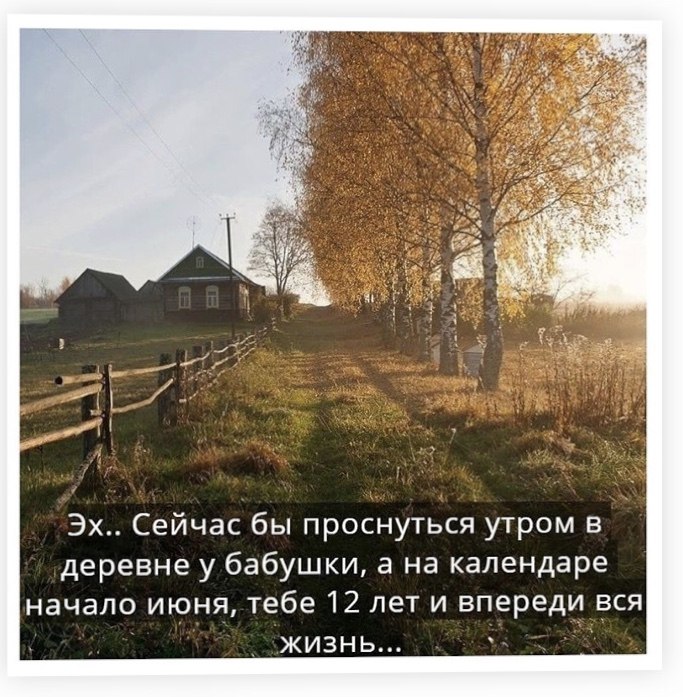 Svet - 19  2019  11:14