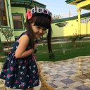 ���� �������, ������, 43 ���� - ��������� 22 �������� 2019 � ������ ���� ����������