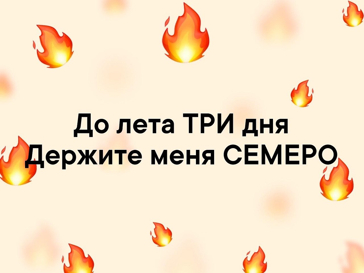   - 29  2019  03:29