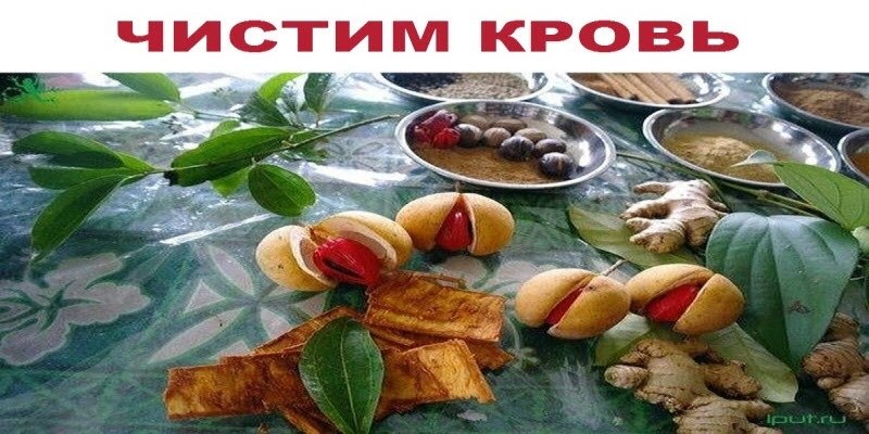 ЧИСТИМ КРОВЬ.На 1 стакан воды (холодной) - 5 капель йода, 1 ст.л. меда, 1 ст.л. яблочного ...