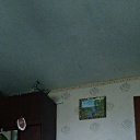 ���� ������, ������, 43 ���� - ��������� 31 ������� 2019 � ������ ���� ����������