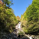 ���� T������, �����������, 49 ��� - ��������� 26 ������� 2019 � ������ ���� ����������