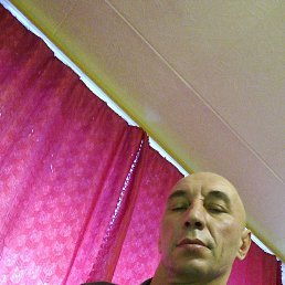 , 53 , 