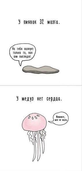    ... - 3
