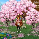 ���� Zaika_�_�����, ������ - ��������� 1 ���� 2019 � ������ �Tropikania�