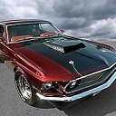 ���� �����, ������������, 37 ��� - ��������� 3 ��� 2019 � ������ ���� ����������