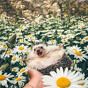 ���� ����, ���������� - ��������� 22 ������ 2019 � ������ ���� ����������