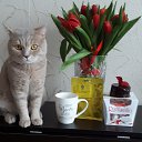 ���� ������, �������, 52 ���� - ��������� 11 ���� 2019 � ������ ���� ����������