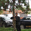 ���� Almaz, ��������, 40 ��� - ��������� 24 ������ 2019