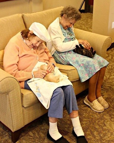   o ec   pec, o a c ox o  ...