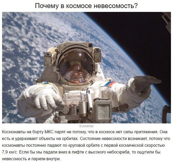 Ответы на частые детские «почемучки». Будет полезно вспомнить и мамам - 8
