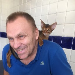 ����, ����, 60 ���