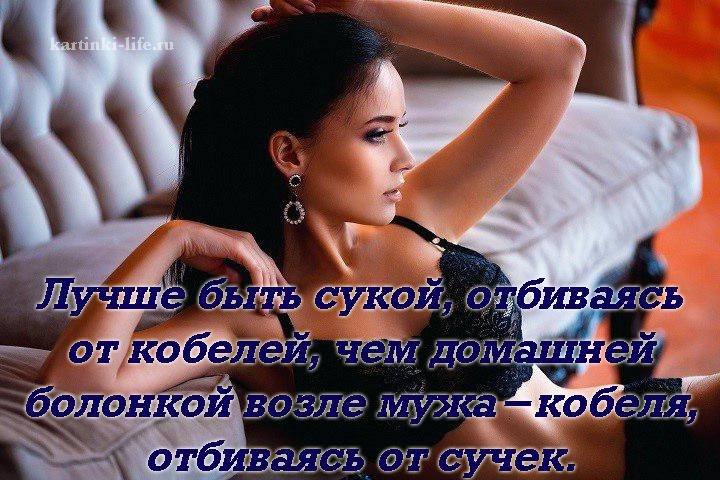   ! - 8  2019  20:55