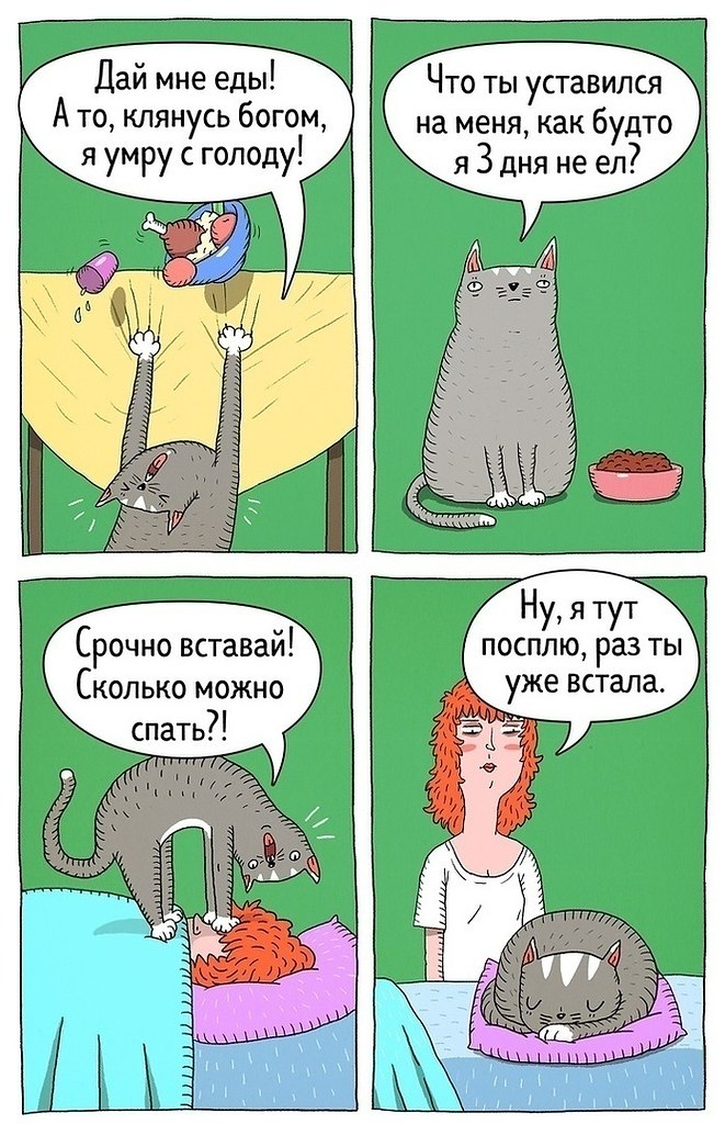     .   - 8