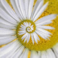 ���� Lazizbek, ������, 37 ��� - ��������� 17 ������� 2019