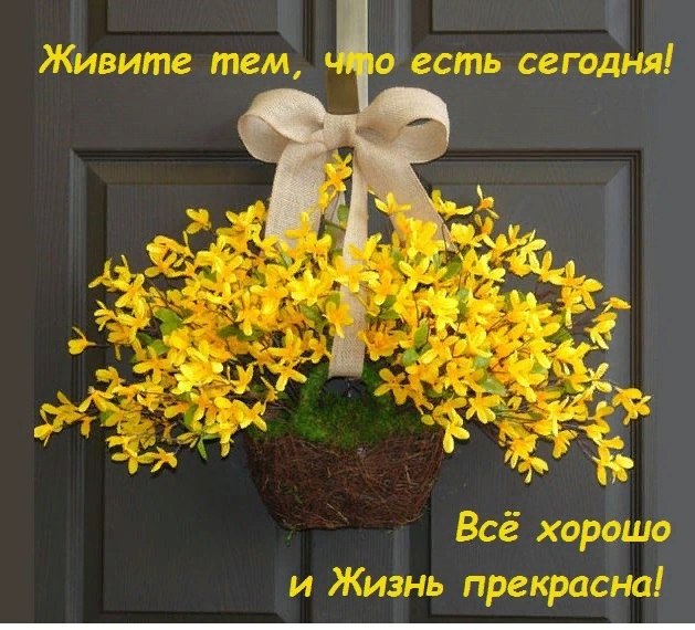   ,    . - 6  2019  15:54