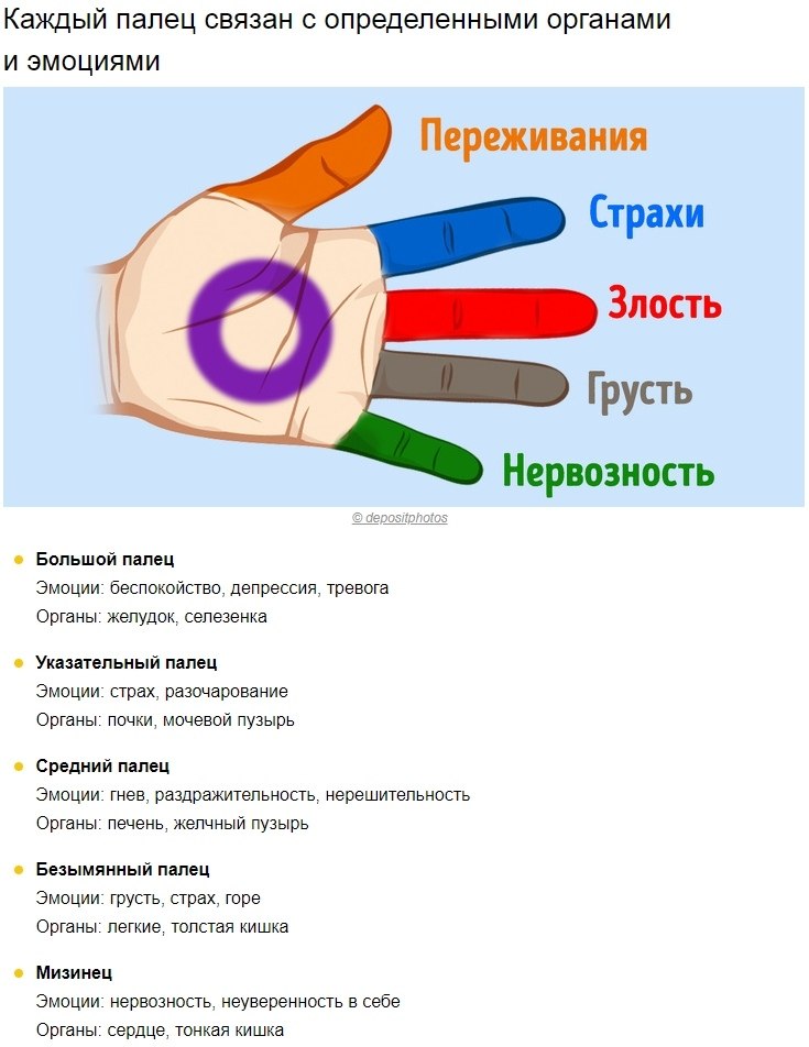 Какому органу соответствует. За что отвечает каждый палец. Обозначение каждого пальца на руке. Какой палец на руке за что отвечает. Органы на пальцах рук.