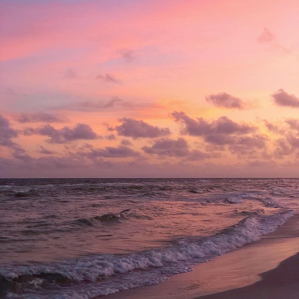 Florida, USA - 8