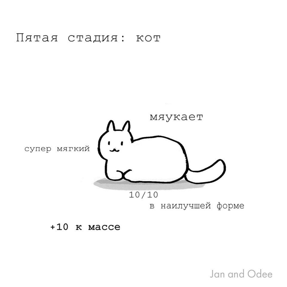   : - 5