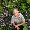 ���� ���������, ������, 72 ���� - ��������� 16 �������� 2019 � ������ ���� ����������