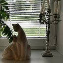  , , 50  -  26  2019   --