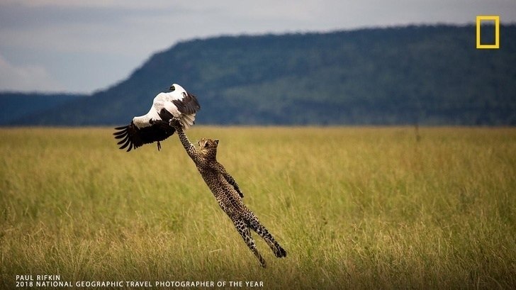 10 o o National Geographic,  oo   o ooo. - 9