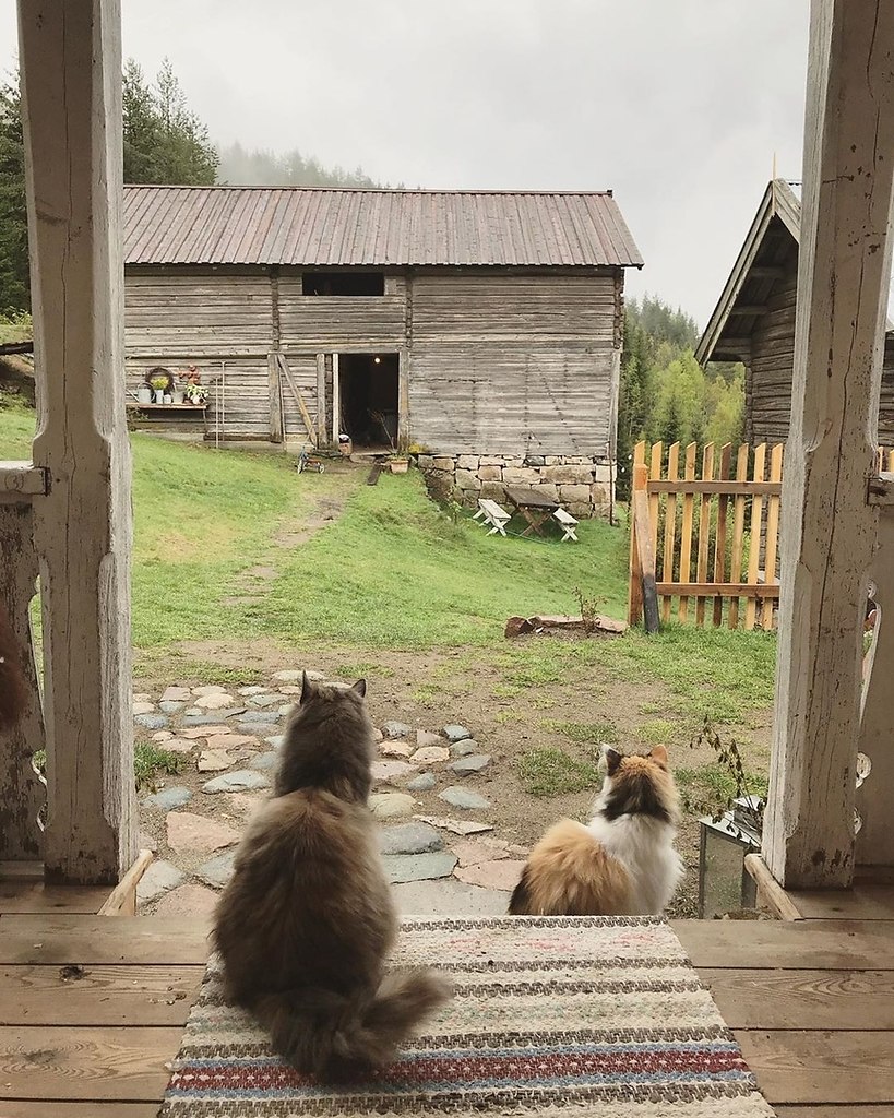 o  oe.oe  o ee  ao oe? - 5