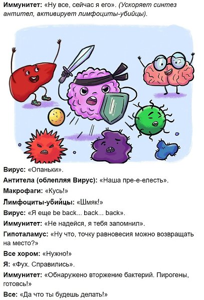 Bpaч c юмopoм paccкaзaл, кaк paбoтaeт нaш иммyнитeт - 7