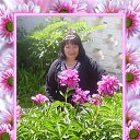 ���� �������, ������ ��������, 67 ��� - ��������� 22 ���� 2019 � ������ ������ ����� ���ۻ