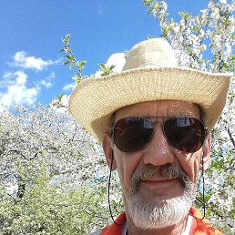 �����, ������ ���, 71 ���