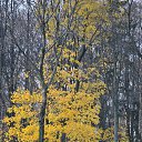 ... .... ... ....   ... .... ... ....