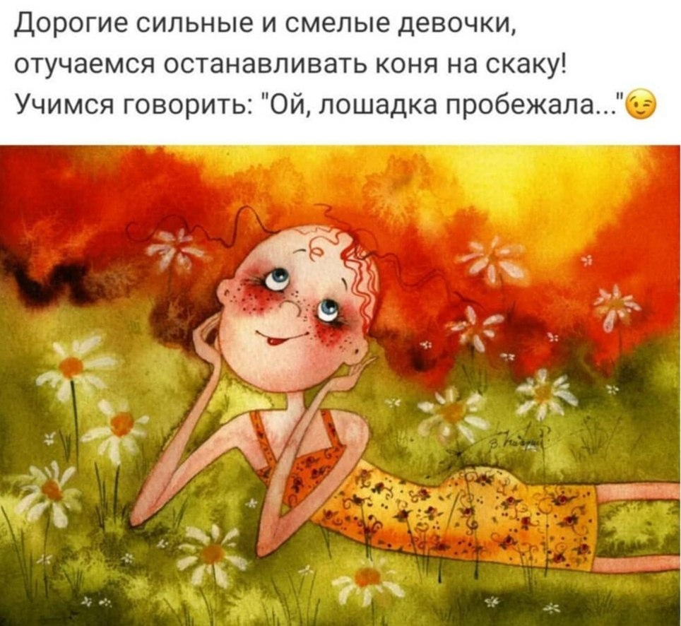 =Fox= - 28  2019  19:33