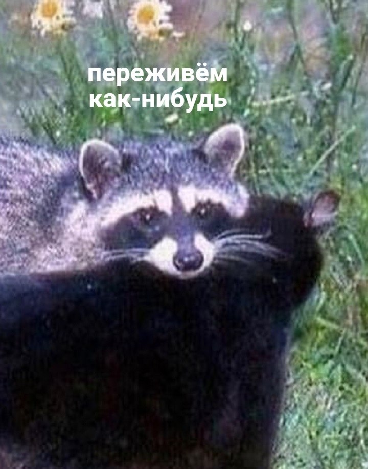 ,     -  ,  : - 2