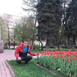 ���� �����, ��������, 35 ��� - ��������� 4 ��� 2019