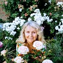 ���� ����, ������-��-����, 67 ��� - ��������� 6 ���� 2019 � ������ ���� ����������