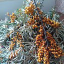 ���� �����, ��������� - ��������� 19 ������� 2019 � ������ ���� ����������