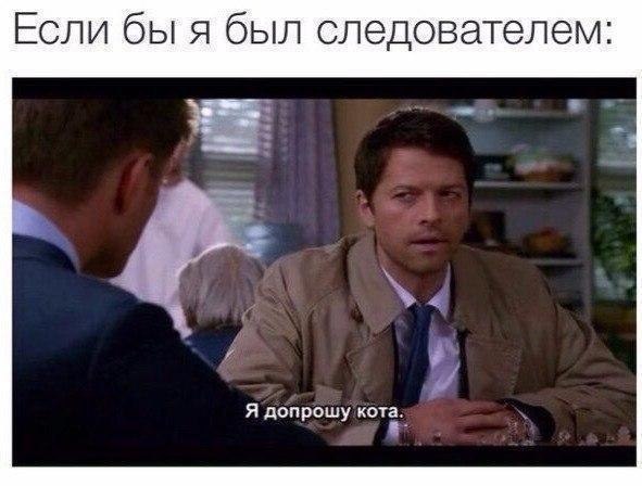 ☆ ☆ - 29  2019  03:44